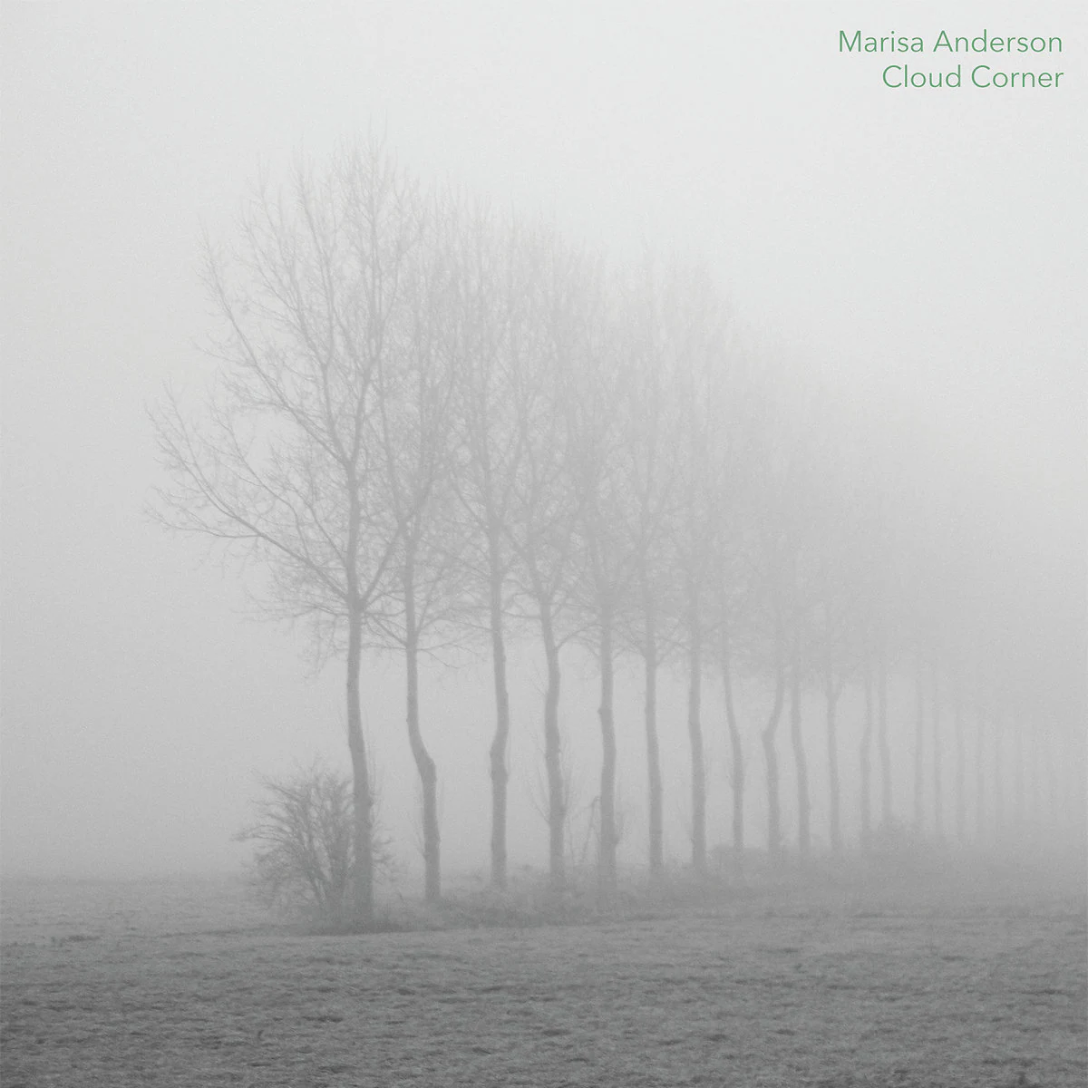 Cover of Cloud Corner by Marisa Anderson