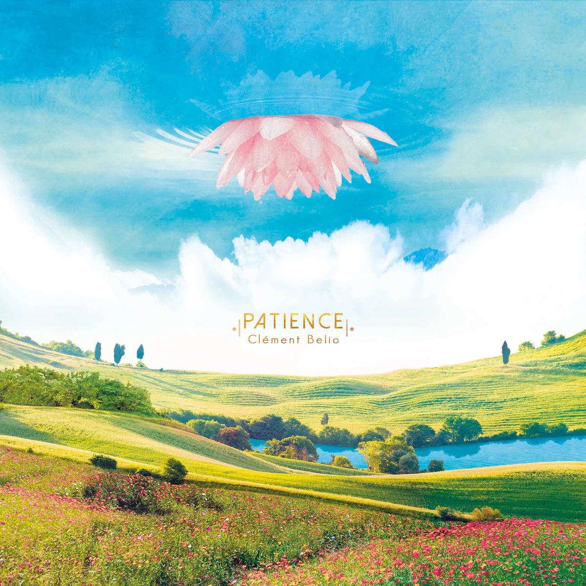 Cover of Patience by Clément Belio