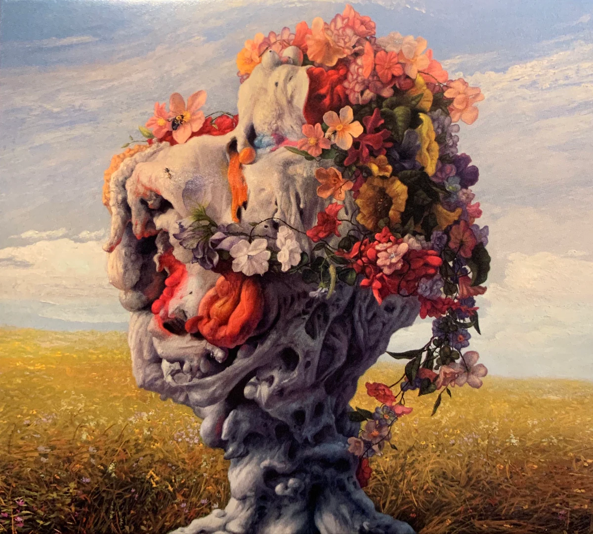 Cover of Veil of Imagination by Wilderun
