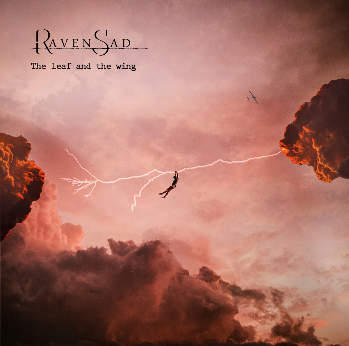 Cover of The Leaf and the Wing by Raven Sad